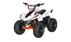 Kayo Fox 70 AY70 Kids Quad