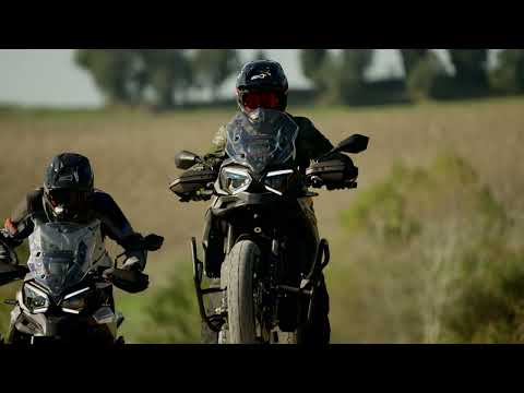 Morbidelli T1002VX - Black