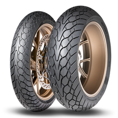 Dunlop Mutant Rear Tubeless Road Tyre 170/60 17